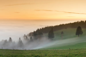 Aussicht vom Schauinsland über die Rheinebene bei Nebel, Schwarzwald, Baden-Württemberg, Deutschland Aussicht vom Schauinsland über die Rheinebene bei Nebel, Schwarzwald, Baden-Württemberg, Deutschland